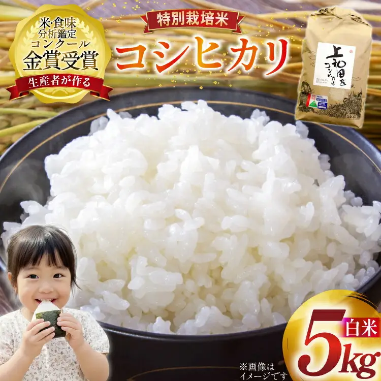 米 令和7年産 こしひかり 天日乾燥「和」 5kg 特別栽培米 精米 [農家の蔵出し米生産組合 山形県 高畠町 tk06ays900026]