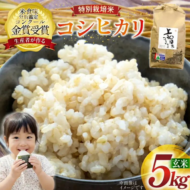 米 令和7年産 こしひかり 天日乾燥「和」 5kg 特別栽培米 玄米 [農家の蔵出し米生産組合 山形県 高畠町 tk06ays900027]