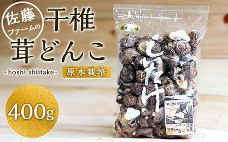 干椎茸 400g どんこ クヌギ原木 干し椎茸 しいたけ 椎茸 九重町産 健康食品