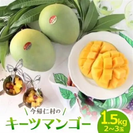 【2026年9月から順次発送・家庭用】山城フルーツ園の幻キーツマンゴー1.5kg(2～3玉)【配送不可地域：離島】【1593007】