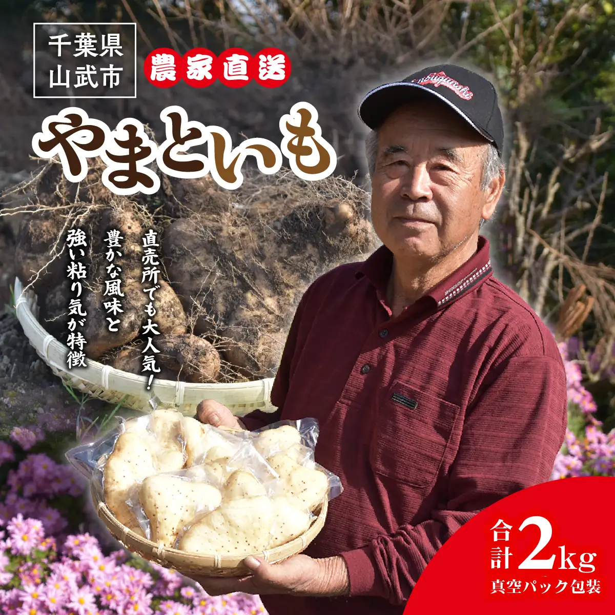 農家直送! 直売所でも大人気! 豊かな風味と強い粘り気が特徴! 大和芋（やまといも）2kg 真空パック包装　ふるさと納税 やまといも ヤマトイモ 大和芋 芋 山芋 長芋 きめ 粘り とろろ汁 麦とろ やまかけ 農家直送 千葉県 山武市 SMCH001