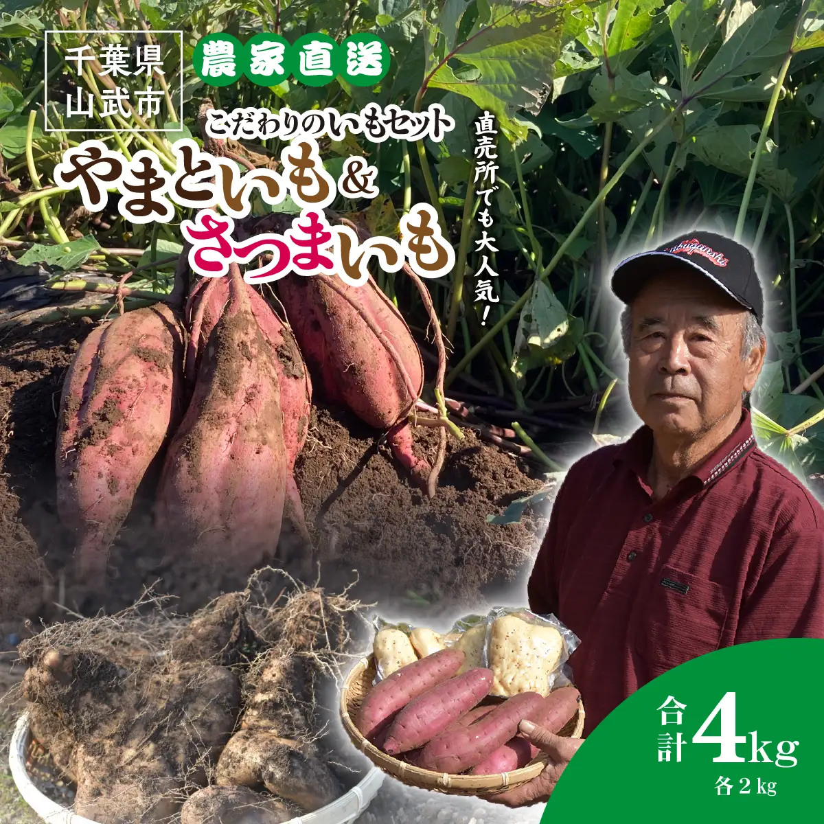 農家直送! 直売所でも大人気! こだわりのいもセット4kg 大和芋2kg＋さつまいも2kg　ふるさと納税 いも 芋 ヤマトイモ 大和芋 さつまいも サツマイモ べにはるか 芋セット 農家直送 千葉県 山武市 SMCH002