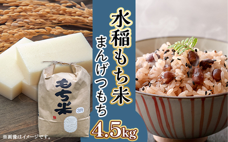 607 【令和7年産】水稲もち 3升 4.5kg