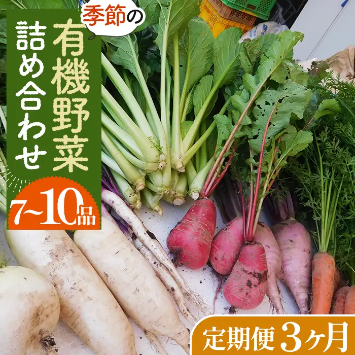 【有機野菜の定期便3ヶ月】ガバレ農場の季節の有機野菜詰め合わせセット No.527