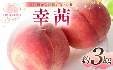 【2026年出荷分先行予約】福島県産 幸茜 約3kg (8～12玉) 森果樹園 さちあかね 自然豊かな月舘で育った桃 伊達の桃 桃 フルーツ 果物 もも モモ momo F21C-061
