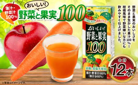おいしい野菜と果実 200ml×12本 合計2400ml  果汁100% 野菜 果実 フルーツ ジュース フルーツジュース 常温 飲料 熊本県 らくのうマザーズ