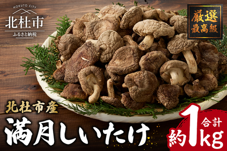 『満月しいたけ』菌床乾燥しいたけ　1kg 厳選 高級 椎茸 きのこ 肉厚 ジューシー 新鮮 農薬不使用 有機椎茸 山梨県産 北杜市産 [h122]
