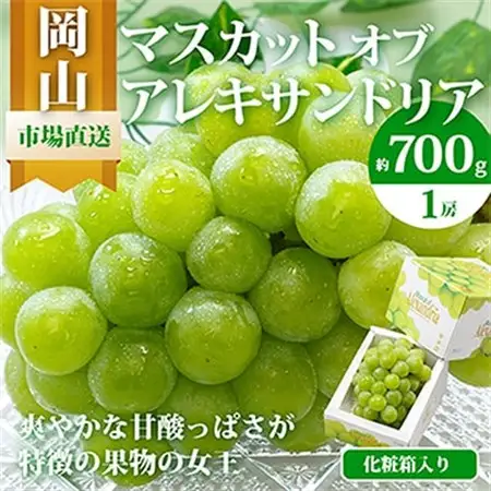 【先行受付】岡山県産マスカットオブアレキサンドリア1房(秀品以上・700g以上)化粧箱入り【配送不可地域：離島・北海道・沖縄県】【1150087】