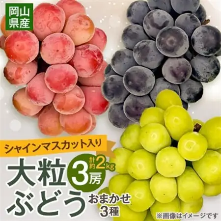 【2026年9月下旬発送】大粒ぶどう3種セット約2kg シャインマスカット ピオーネ クイーンニーナ【1244621】