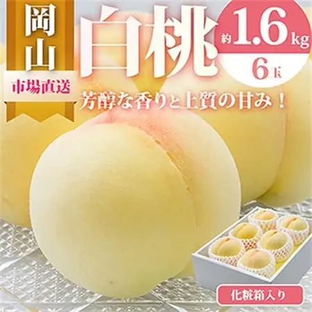 【先行受付】岡山県産　白桃6玉(1.6kg以上)　化粧箱入り【配送不可地域：離島・北海道・沖縄県】【1281362】