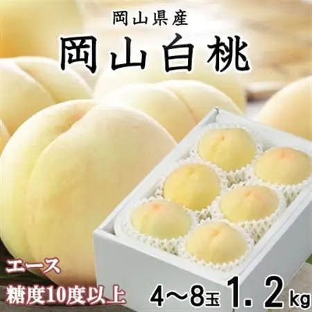 【先行受付】岡山白桃 エース4～8玉 1.2kg 岡山県産【配送不可地域：離島・北海道・沖縄県】【1305697】