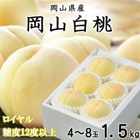 【先行受付】岡山白桃 ロイヤル 4～8玉 1.5kg 岡山県産【配送不可地域：離島・北海道・沖縄県】【1305698】