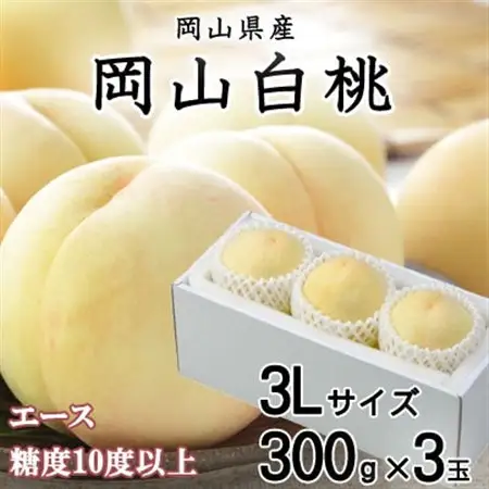 【先行受付】岡山白桃 エース 3玉×300g(3Lサイズ) 岡山県産【配送不可地域：離島・北海道・沖縄県】【1305730】