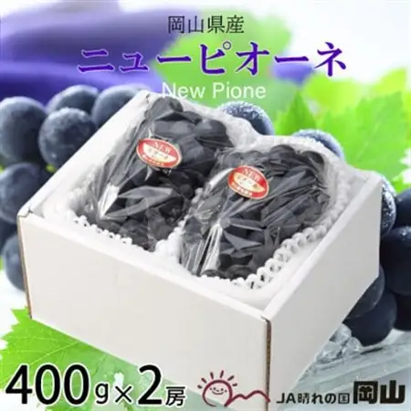 【2026年6月下旬より順次発送】岡山県産 ニューピオーネ 400g×2房【配送不可地域：離島・北海道・沖縄県】【1308140】