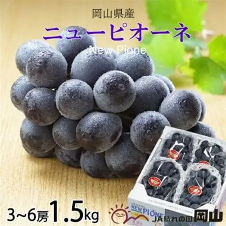 【2026年6月下旬より順次発送】岡山県産 ニューピオーネ 1.5kg(3房～6房)【配送不可地域：離島・北海道・沖縄県】【1308146】