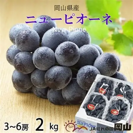 【2026年6月下旬より順次発送】岡山県産 ニューピオーネ 2kg(3房～6房)【配送不可地域：離島・北海道・沖縄県】【1308149】