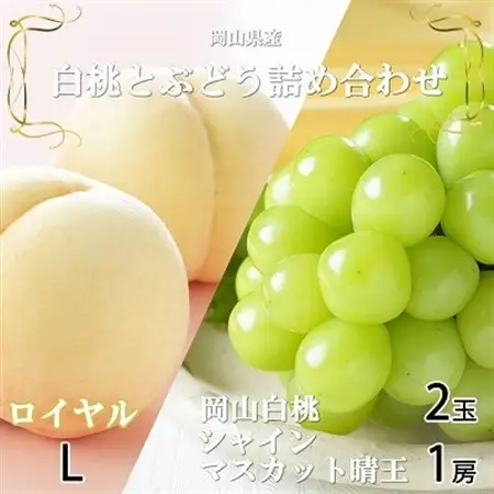 【先行受付】岡山県産　岡山白桃ロイヤルL　200g×2玉・シャインマスカット晴王400g×1房　詰合【配送不可地域：離島・北海道・沖縄県】【1308774】