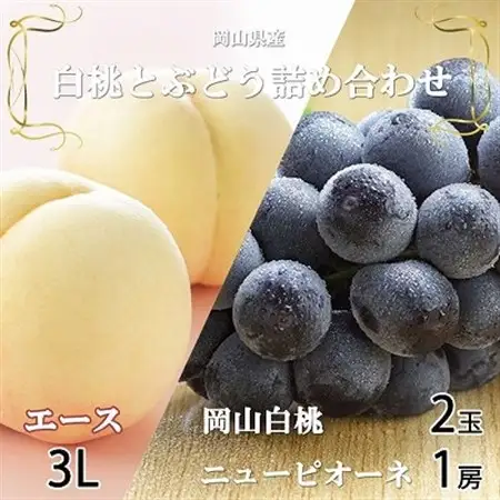 【先行受付】岡山県産　岡山白桃エース3Lサイズ300g×2玉・ニューピオーネ600g×1房　詰合せ【配送不可地域：離島・北海道・沖縄県】【1309116】
