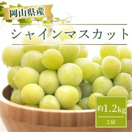 【2026年9月より順次発送】岡山県産 シャインマスカット  約1.2kg(2房)【配送不可地域：離島】【1332985】