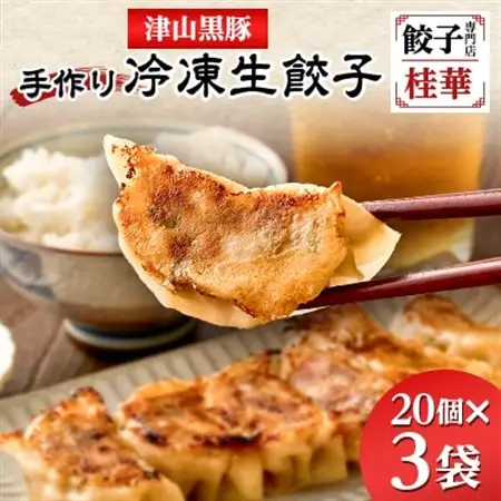 津山黒豚手作り冷凍生餃子(60個セット)【配送不可地域：離島】【1339814】