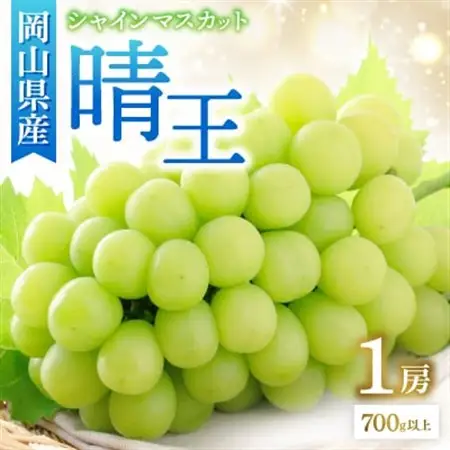 ◆先行受付◆　秋のシャインマスカット「晴王」1房　2026年発送【配送不可地域：離島・北海道・沖縄県】【1349780】