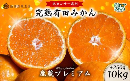 鹿蔵の 有田 みかん プレミアム 10kg+250g(傷み補償分) 光センサー 選果 / 温州みかん 有田みかん 甘い 高級 厳選 和歌山 柑橘 ※2026年11月中旬より2027年1月下旬に順次発送 ※北海道・沖縄・離島への配送不可 【ikd004-prem-10A】