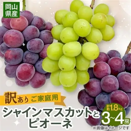 【2026年9月下旬発送】訳ありシャインマスカットとピオーネ詰合せ 3～4房 1.8kg ご家庭用【1355668】