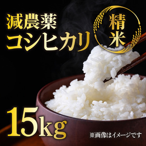 コシヒカリ 15㎏ 精米 減農薬コシヒカリ