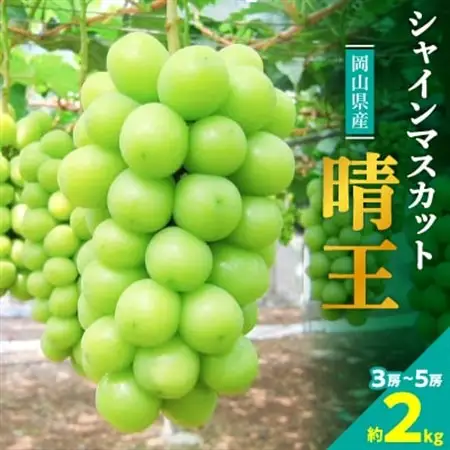 【2026年発送】岡山名産【晴王】シャインマスカット2kg!8月下旬以降順次発送【配送不可地域：離島】【1365277】