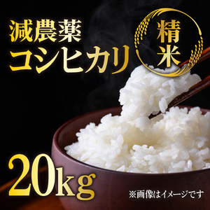 コシヒカリ 20㎏ 精米 減農薬コシヒカリ