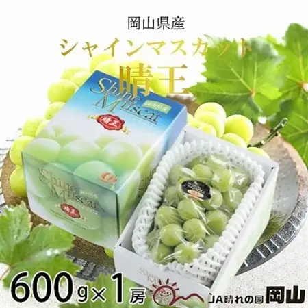 【2026年7月中旬より順次発送】岡山県産 シャインマスカット 晴王 600g×1房【配送不可地域：離島・北海道・沖縄県】【1365904】