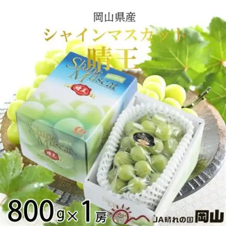 【2026年7月中旬より順次発送】岡山県産 シャインマスカット 晴王 800g×1房【配送不可地域：離島・北海道・沖縄県】【1365930】