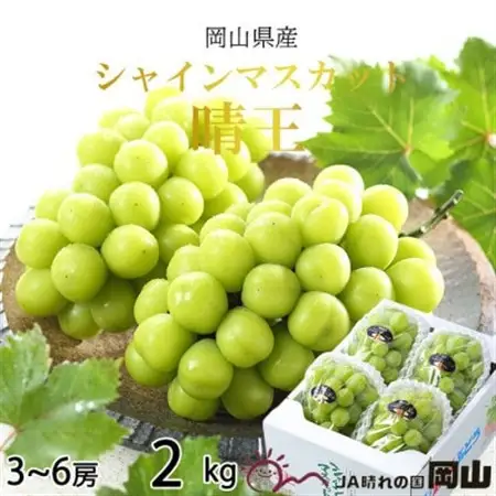 【2026年7月中旬より順次発送】岡山県産 シャインマスカット 晴王 2kg(3房～6房)【配送不可地域：離島・北海道・沖縄県】【1365938】