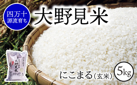 【 四万十源流 育ち 】特別栽培 大野見米 にこまる 5kg ( 玄米 ) ご飯 米 お米 にこまる 四万十