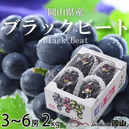 【先行受付】岡山県産　ブラックビート　2kg(3房～6房)【配送不可地域：離島・北海道・沖縄県】【1400519】