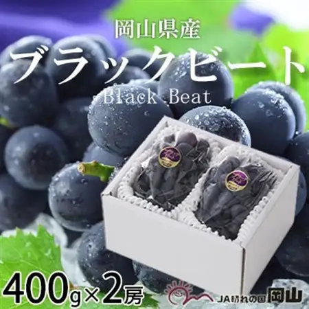 【先行受付】岡山県産　ブラックビート　400g×2房【配送不可地域：離島・北海道・沖縄県】【1400525】