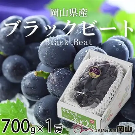 【先行受付】岡山県産　ブラックビート　700g×1房【配送不可地域：離島・北海道・沖縄県】【1400526】