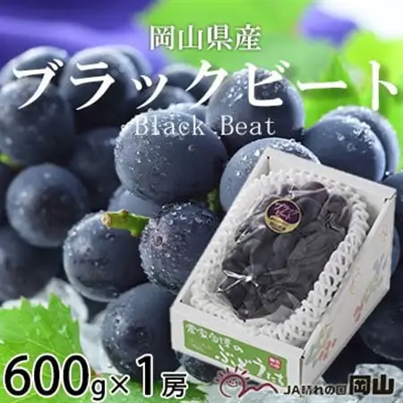 【先行受付】岡山県産　ブラックビート　600g×1房【配送不可地域：離島・北海道・沖縄県】【1400527】
