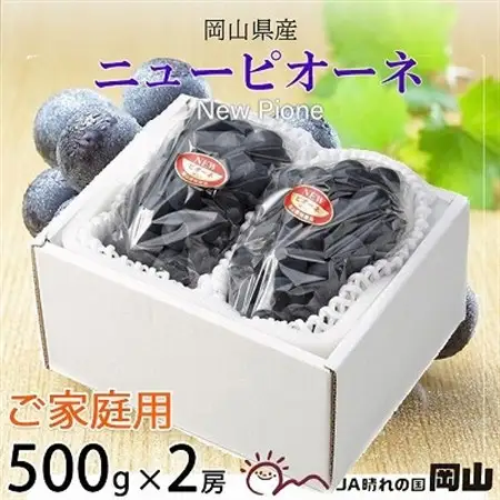 【2026年8月下旬より発送】ご家庭用　岡山県産　ピオーネ　500g×2房【配送不可地域：離島】【1409716】