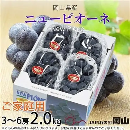 【2026年8月より発送】ご家庭用　岡山県産　ピオーネ　2kg(3～6房)【配送不可地域：離島】【1409719】