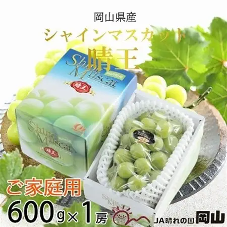 【2026年8月下旬より発送】ご家庭用　岡山県産　シャインマスカット　晴王　600g×1房【配送不可地域：離島】【1409721】