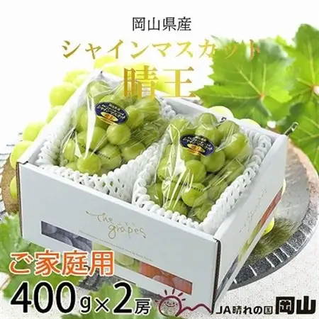 【2026年8月下旬より発送】ご家庭用　岡山県産　シャインマスカット　晴王　400g×2房【配送不可地域：離島】【1409723】