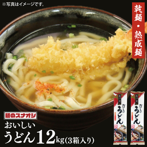 【麺のスナオシ】水戸発　おいしいうどん３箱　計12kg（200ｇ×60袋）（乾麺）（BY-16）