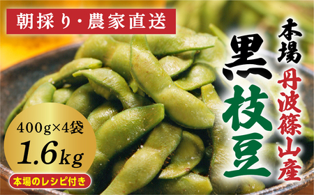 【早期予約/2026年10月発送】丹波篠山黒枝豆 1.6kg(400gx4袋) 黒枝豆 小分け CD102