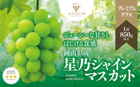 【三つ星ブランド】星乃シャインマスカット プレミアムクラス(岡山県産) 1房×850g以上【配送不可地域：離島・北海道・沖縄県】【1418920】