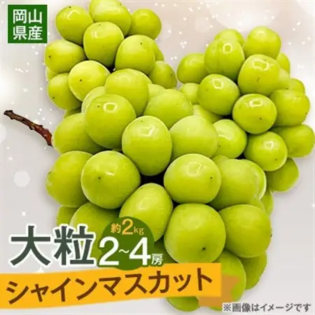 【2026年9月下旬発送】大粒シャインマスカット 約2kg(2～4房)【1425198】