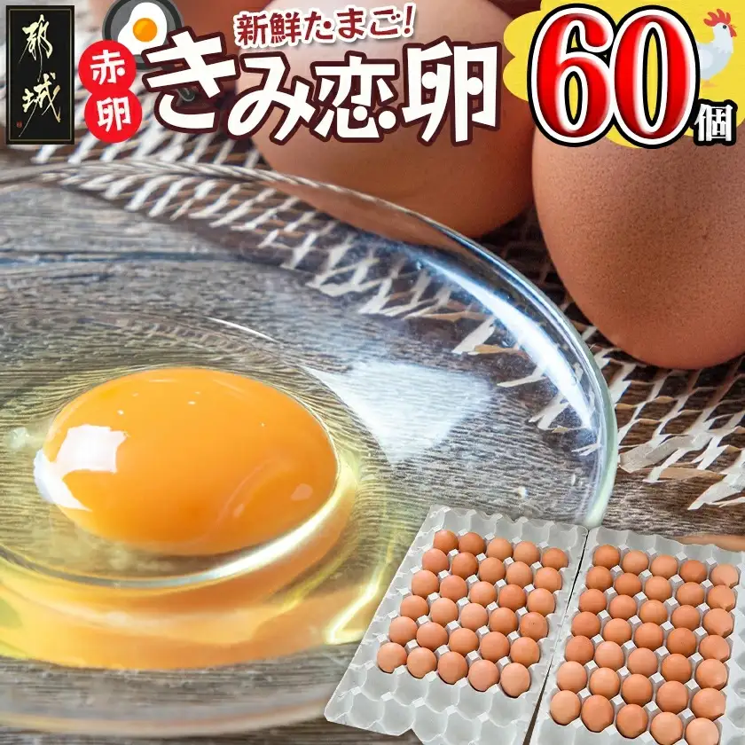 新鮮赤卵「きみ恋卵」60個_11-29-011-60_(都城市) 赤玉子 Mサイズ 60個 きみ恋卵 冷蔵 チルド 赤たまご 河中農園 取れたて新鮮たまご タマゴ たまご 鶏卵 お菓子作りにも最適