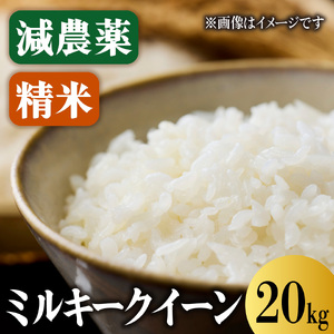 ミルキークイーン 20kg 減農薬ミルキークイーン 精米