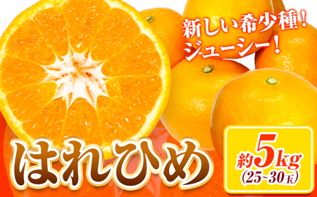 【先行予約】みかん はれひめ 約 5kg 25玉 ～ 30玉 紀農人株式会社《2026年12月中旬-2027年1月末頃出荷》 和歌山県 紀の川市 果物 フルーツ 柑橘 蜜柑 柑橘類 旬