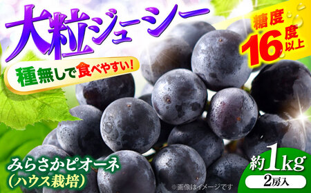 【2026年先行予約】ぶどう みらさかピオーネ ハウス栽培 1kg ＜7月中旬頃から順次発送＞[APBE001] ピオーネ ぶどう